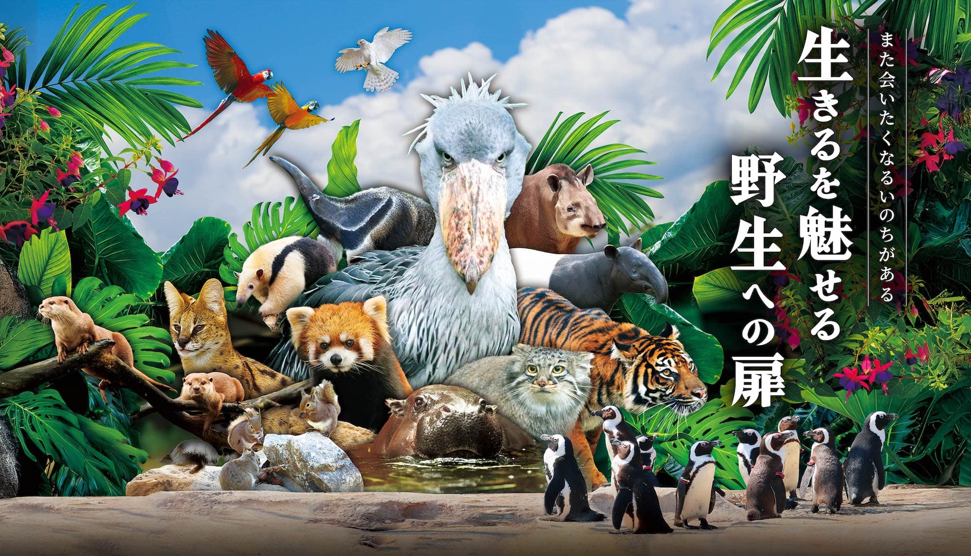 Animal kingdom banner