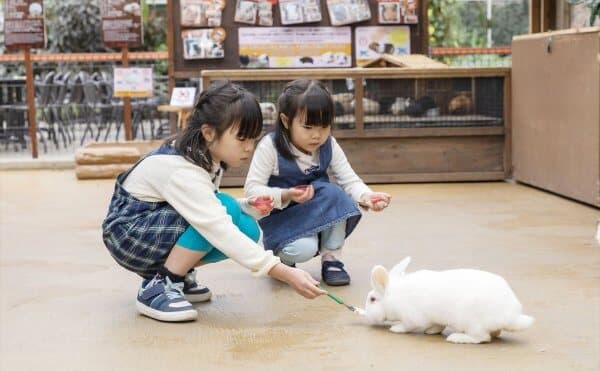 動物王国のロゴ