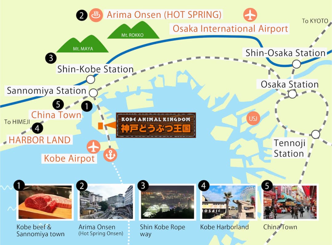 Train map
