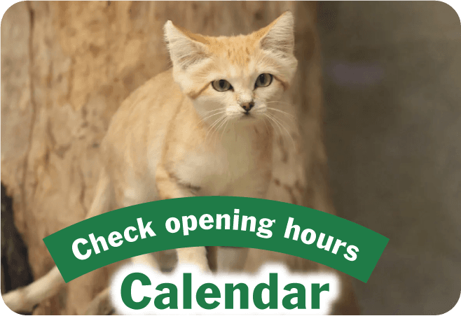 /calendar