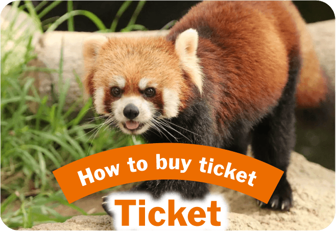 /tickets