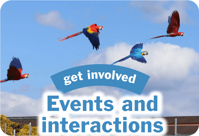 /events