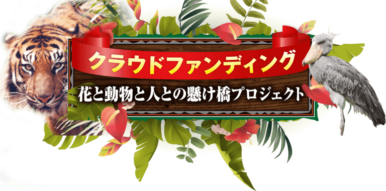 Crowdfunding top banner