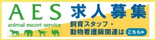 top banner
