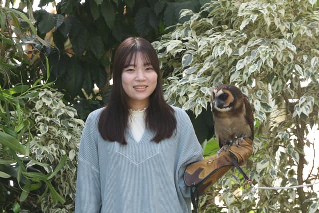 フクロウ腕のせ