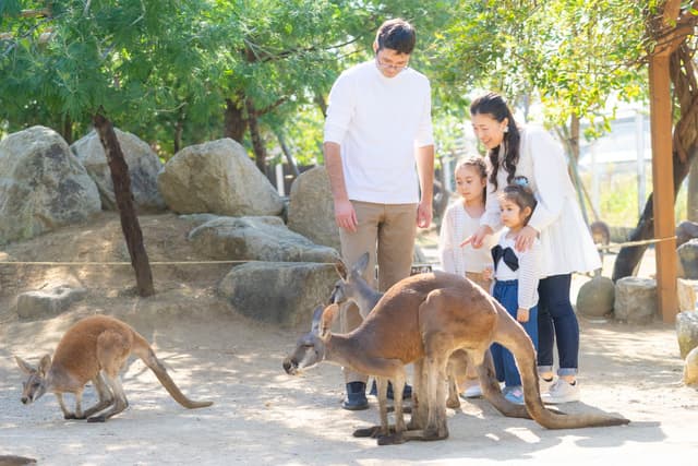カンガルーの平原~Kangaroo steppe~(新たな展示場計画のため工事中)