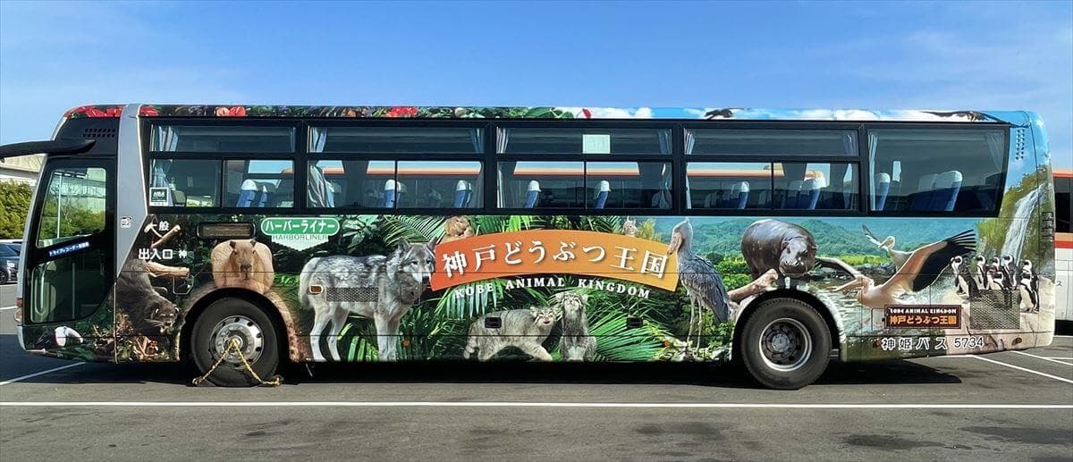 Animal kingdom banner