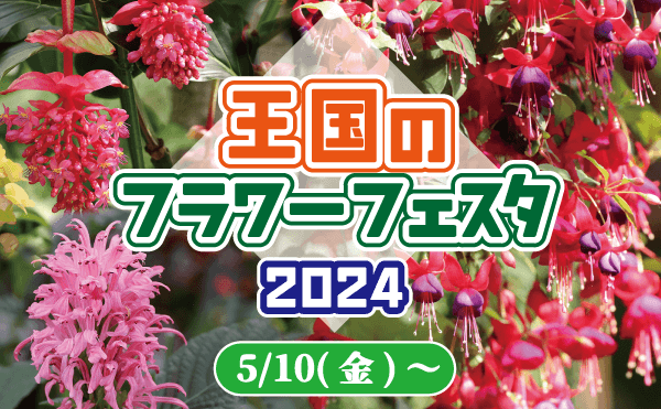 Animal kingdom banner