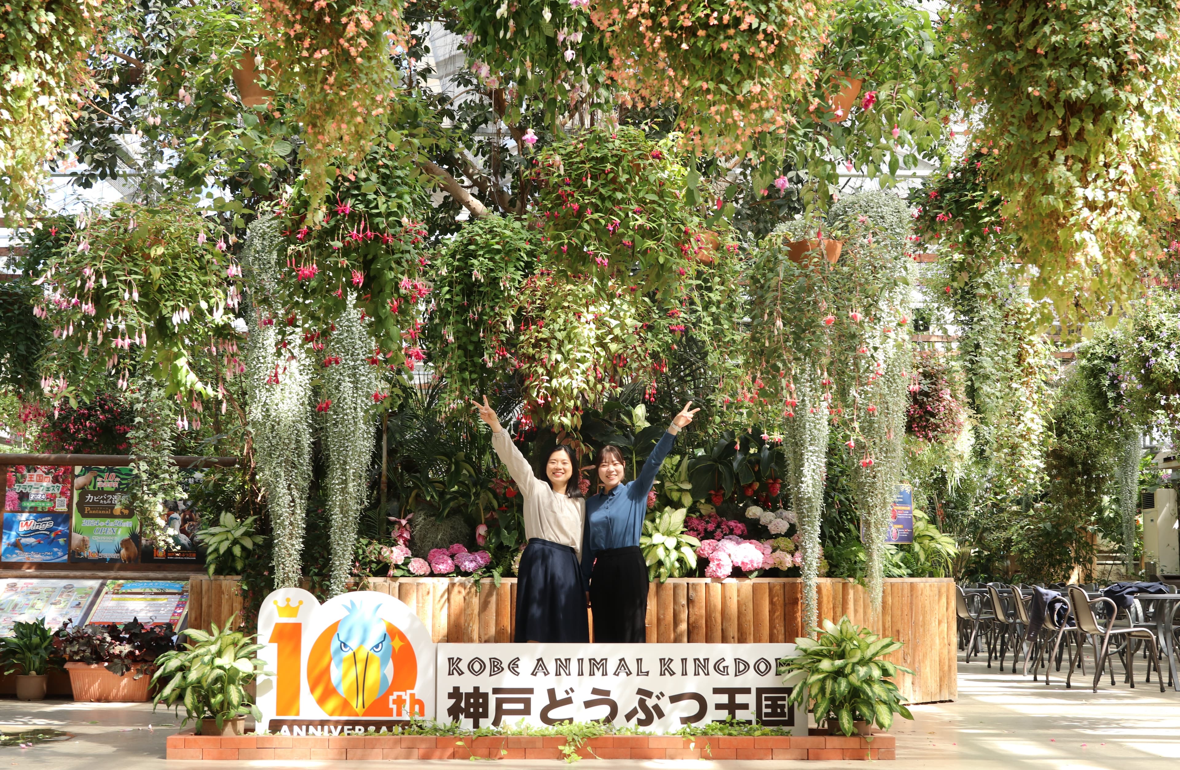 Animal kingdom banner
