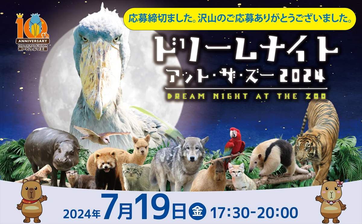 Animal kingdom banner