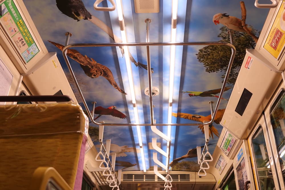 Animal kingdom banner