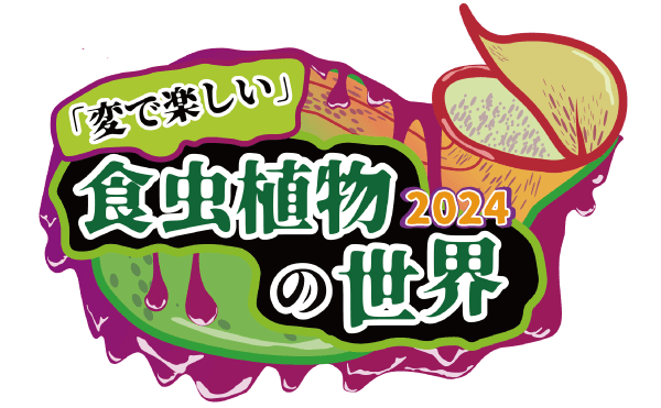 Animal kingdom banner