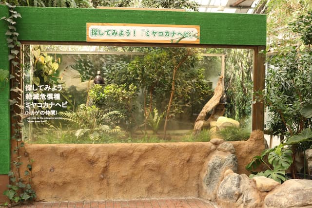 Area image