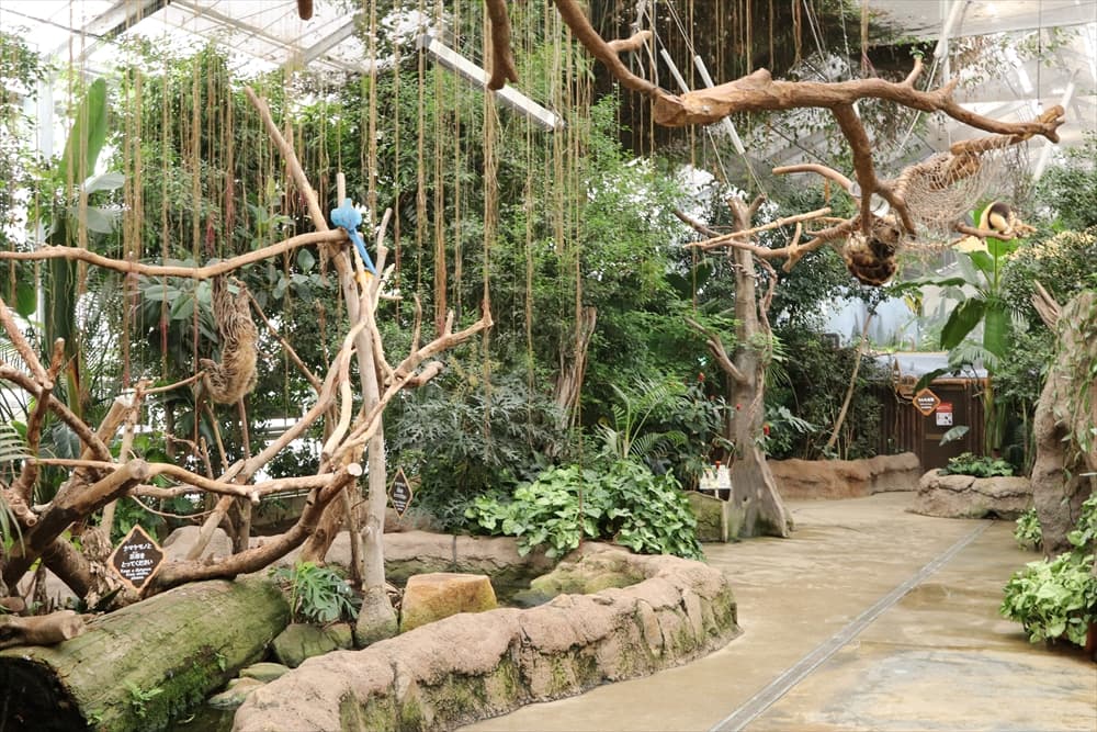Animal kingdom banner