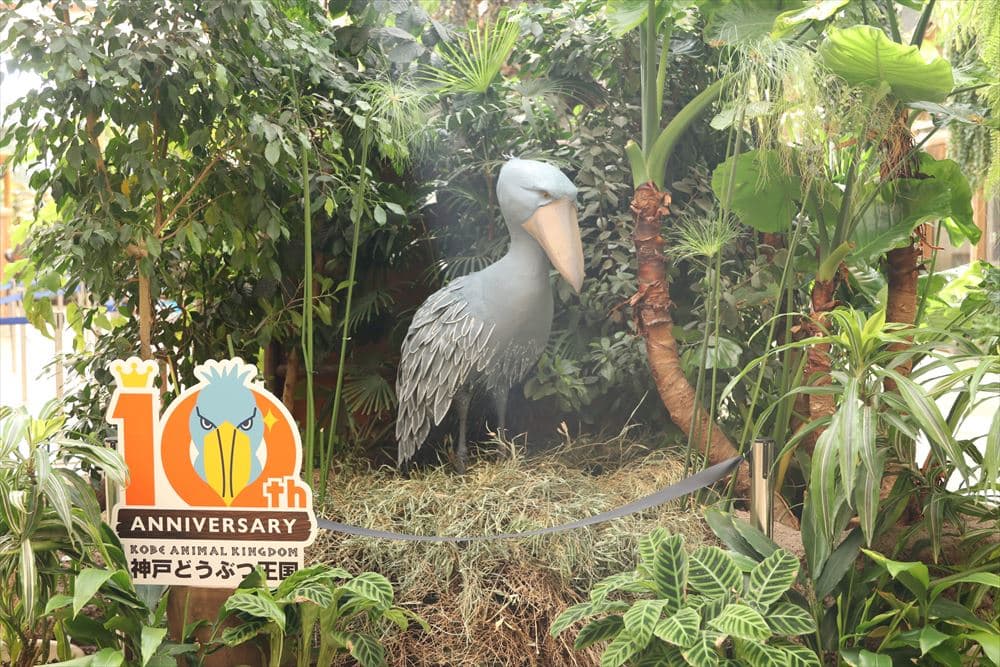 Animal kingdom banner