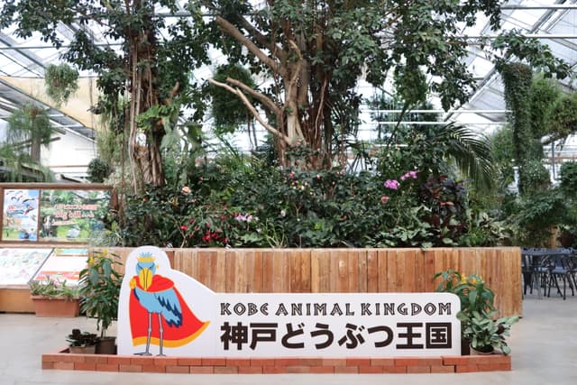 フラワーシャワー