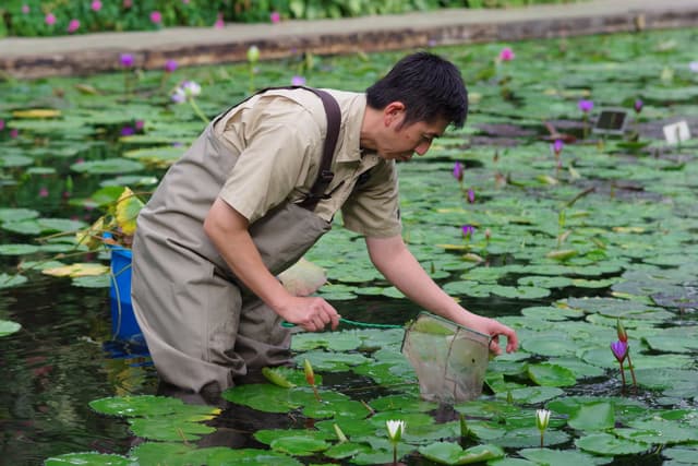植物管理スタッフ