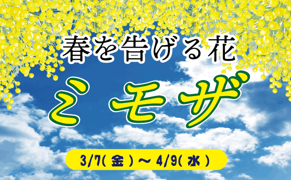 Animal kingdom banner