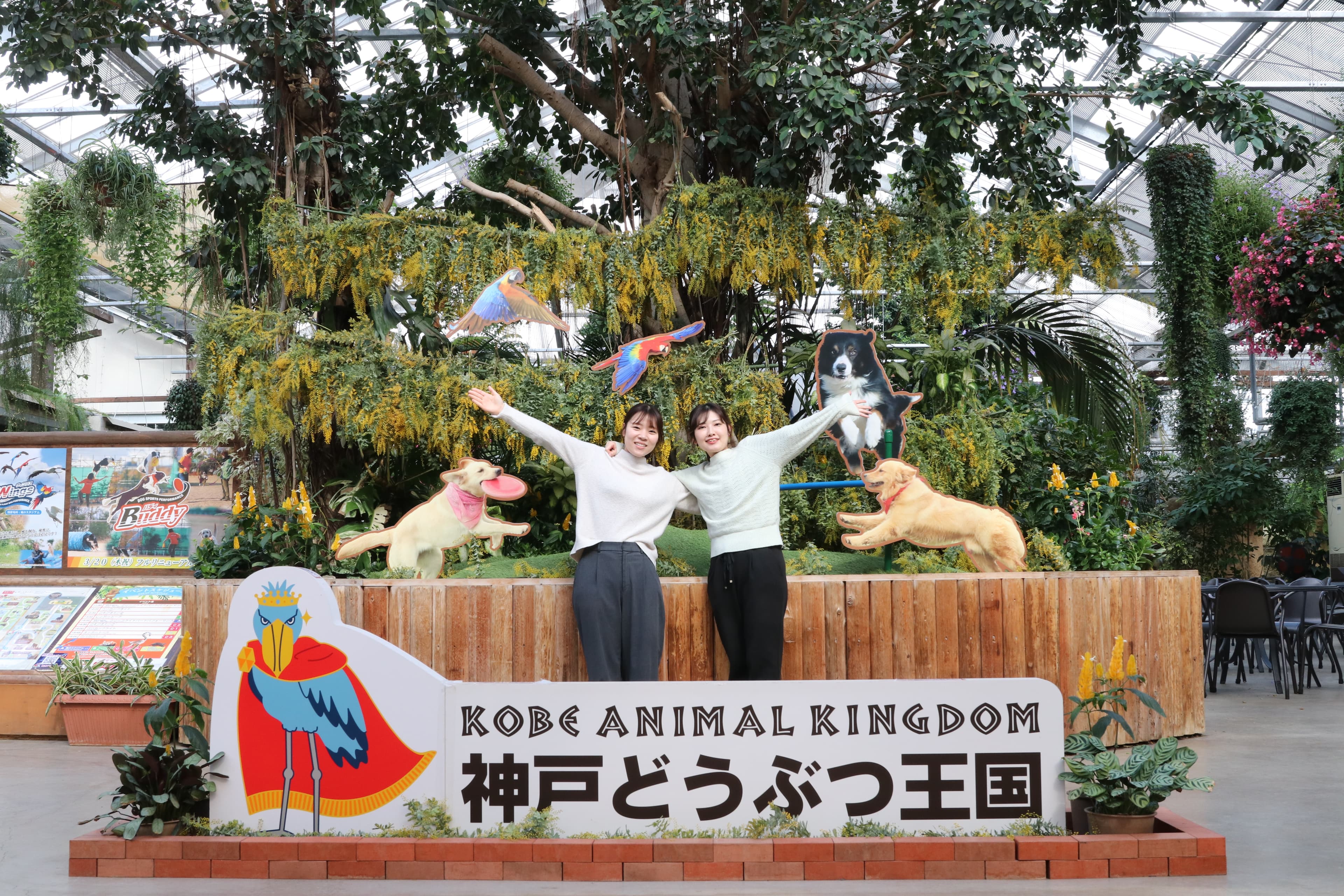 Animal kingdom banner