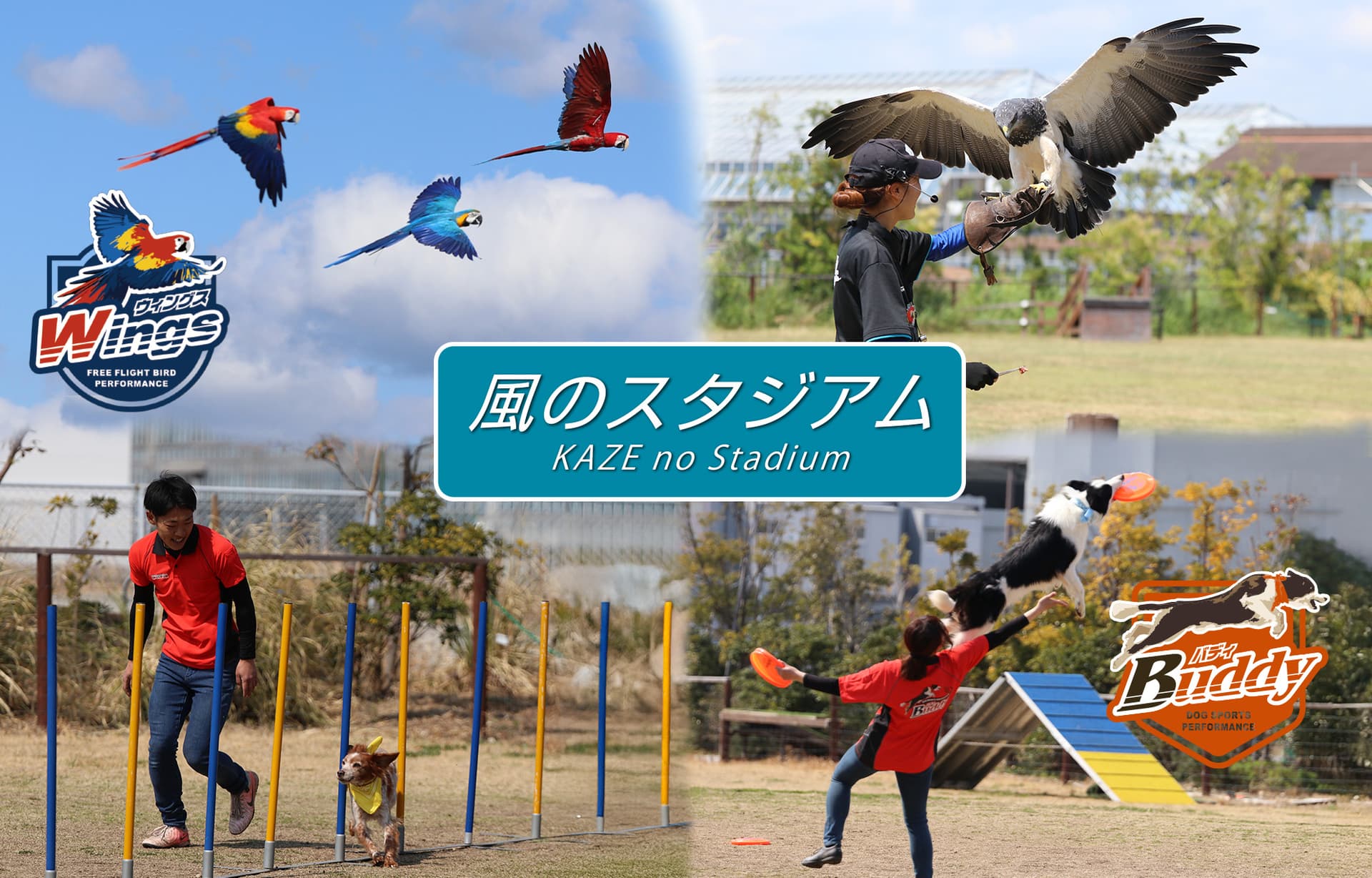 風のスタジアム
