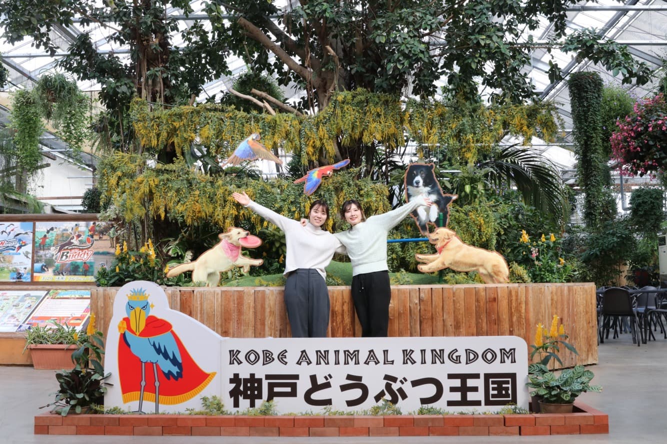 Animal kingdom banner