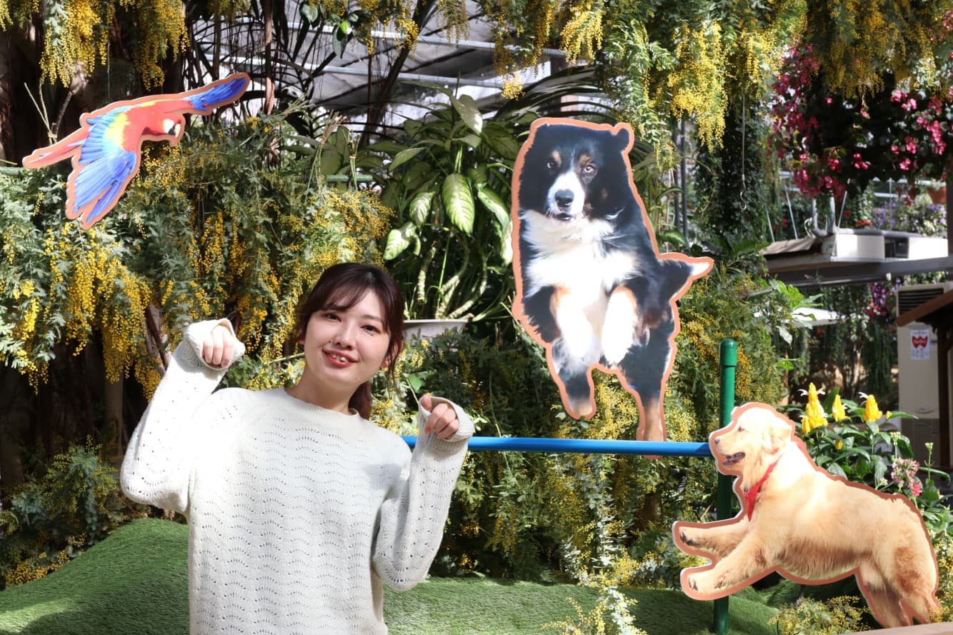 Animal kingdom banner