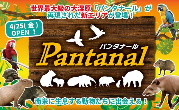 Animal kingdom banner