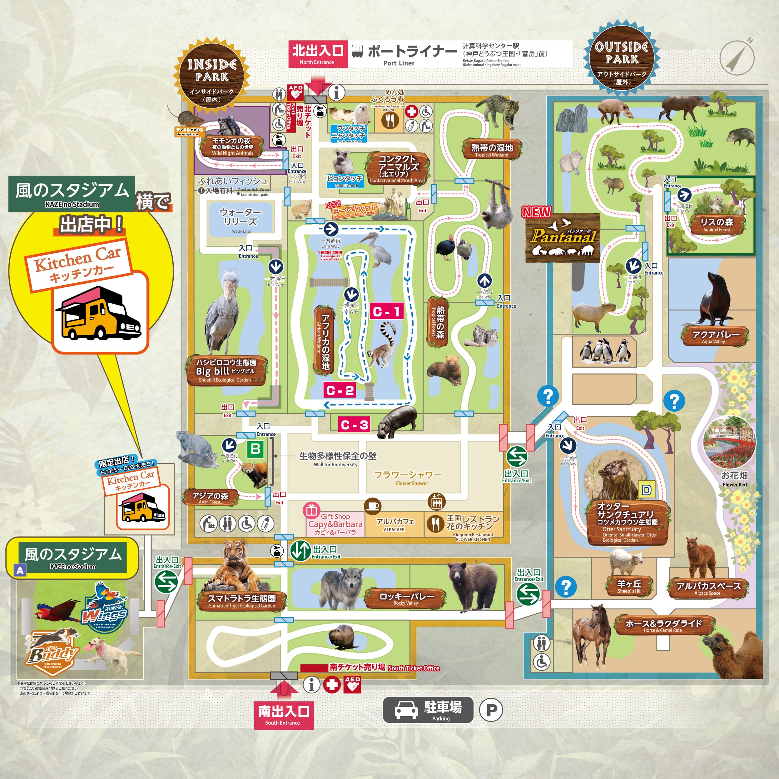 Animal kingdom banner