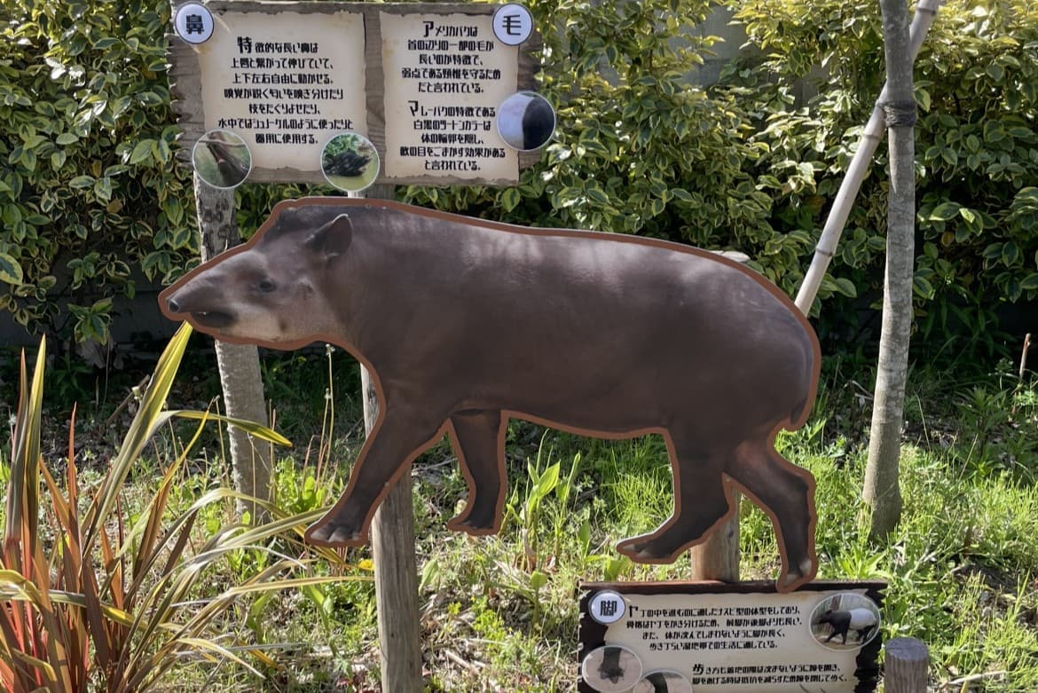 Animal kingdom banner