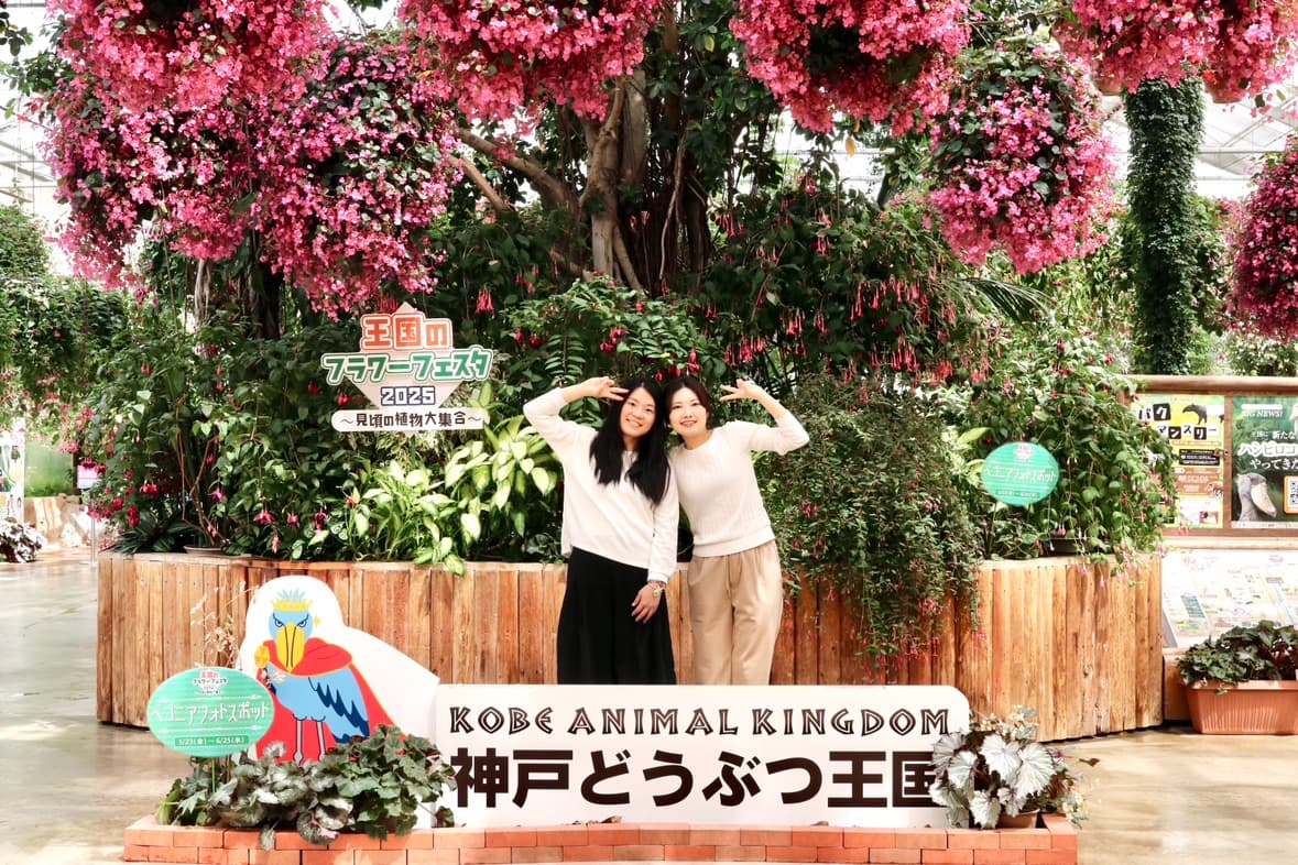 Animal kingdom banner