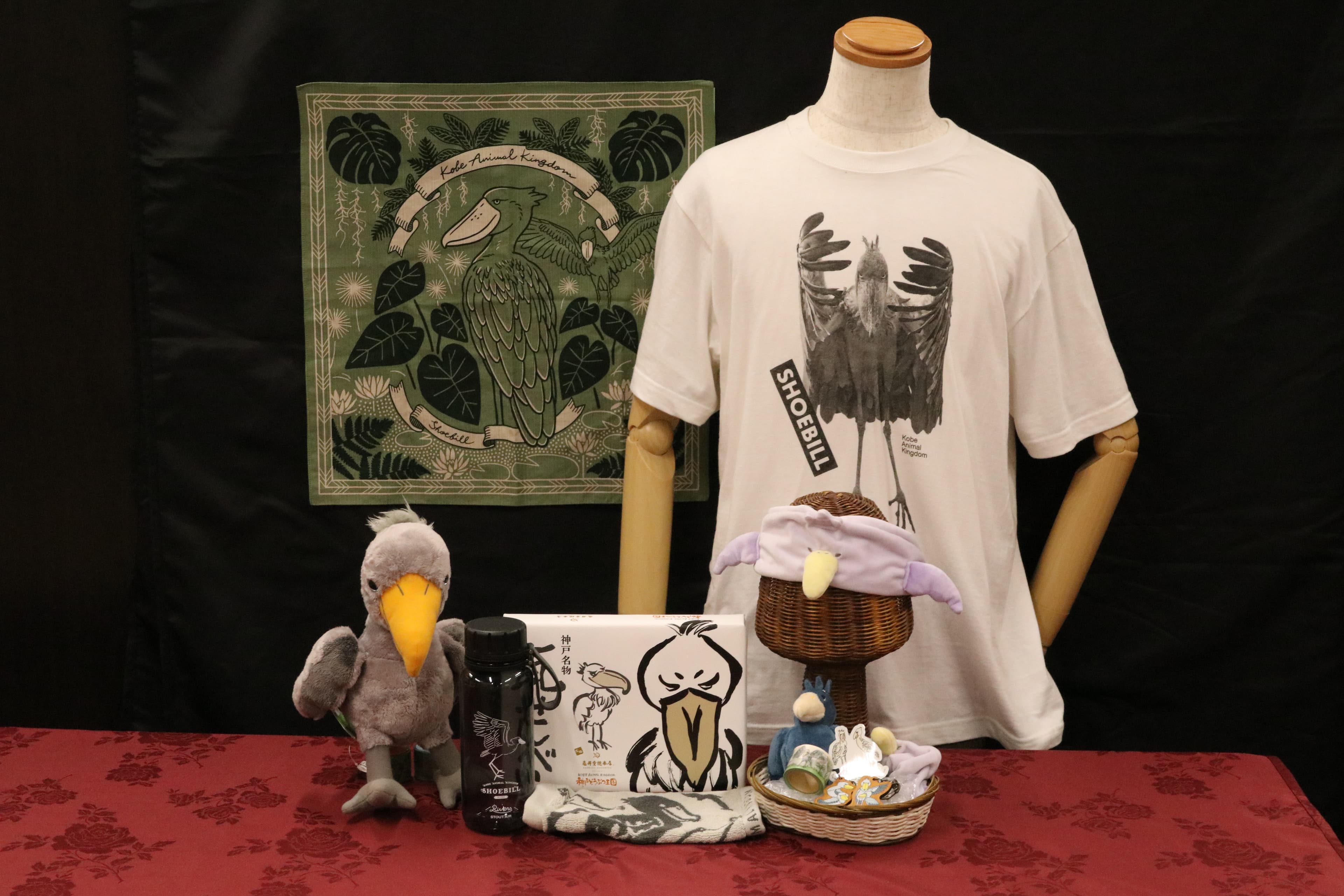 Animal kingdom banner