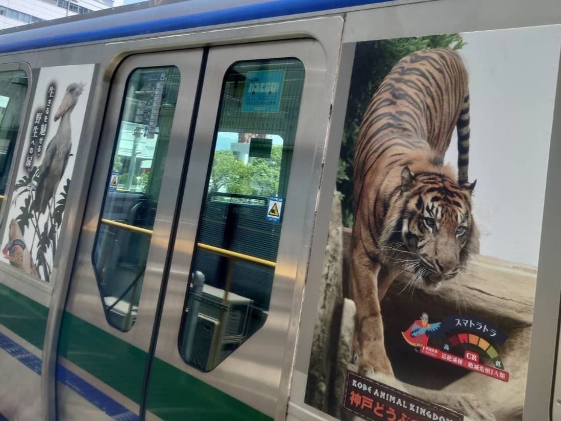 Animal kingdom banner
