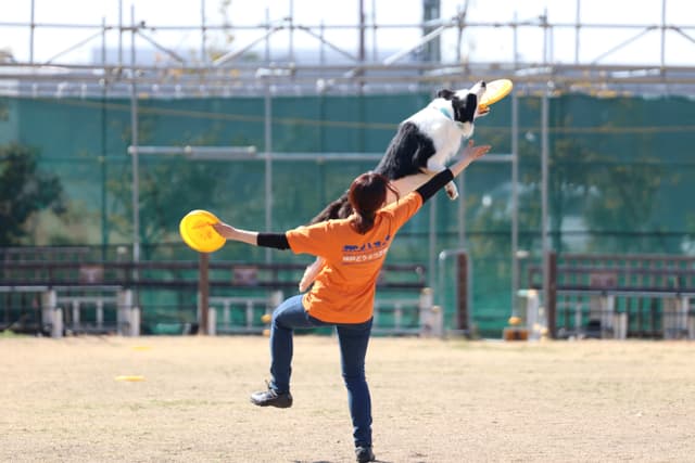 Buddy(バディ)～ドッグスポーツパフォーマンス～　（休止中）