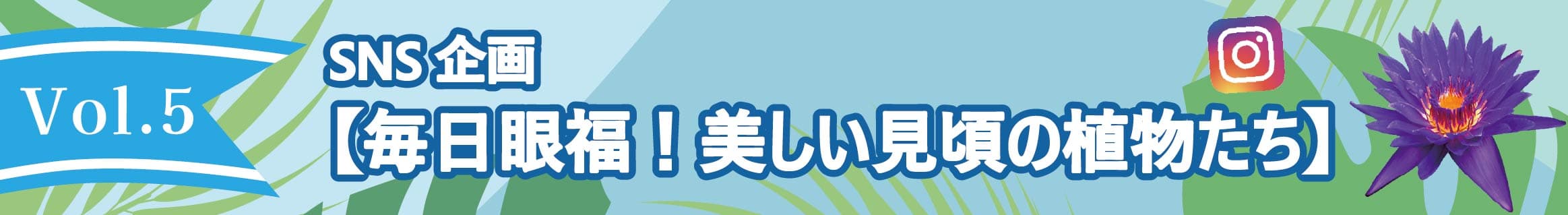 Animal kingdom banner