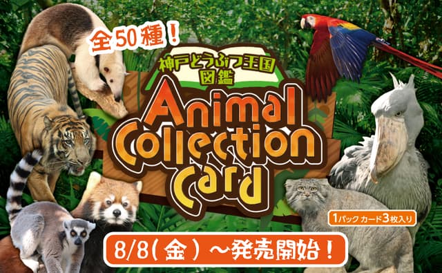 Animal kingdom banner