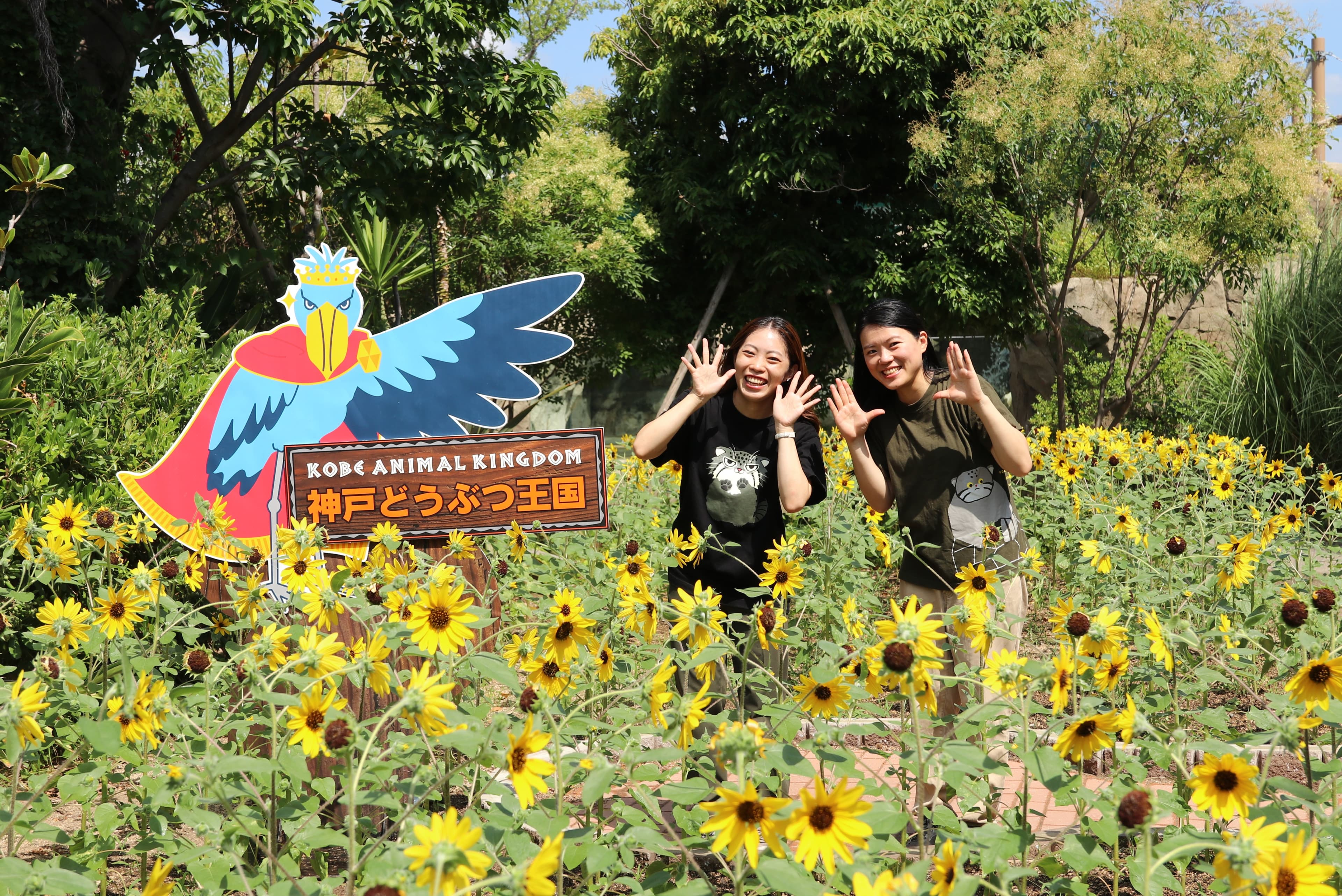 Animal kingdom banner