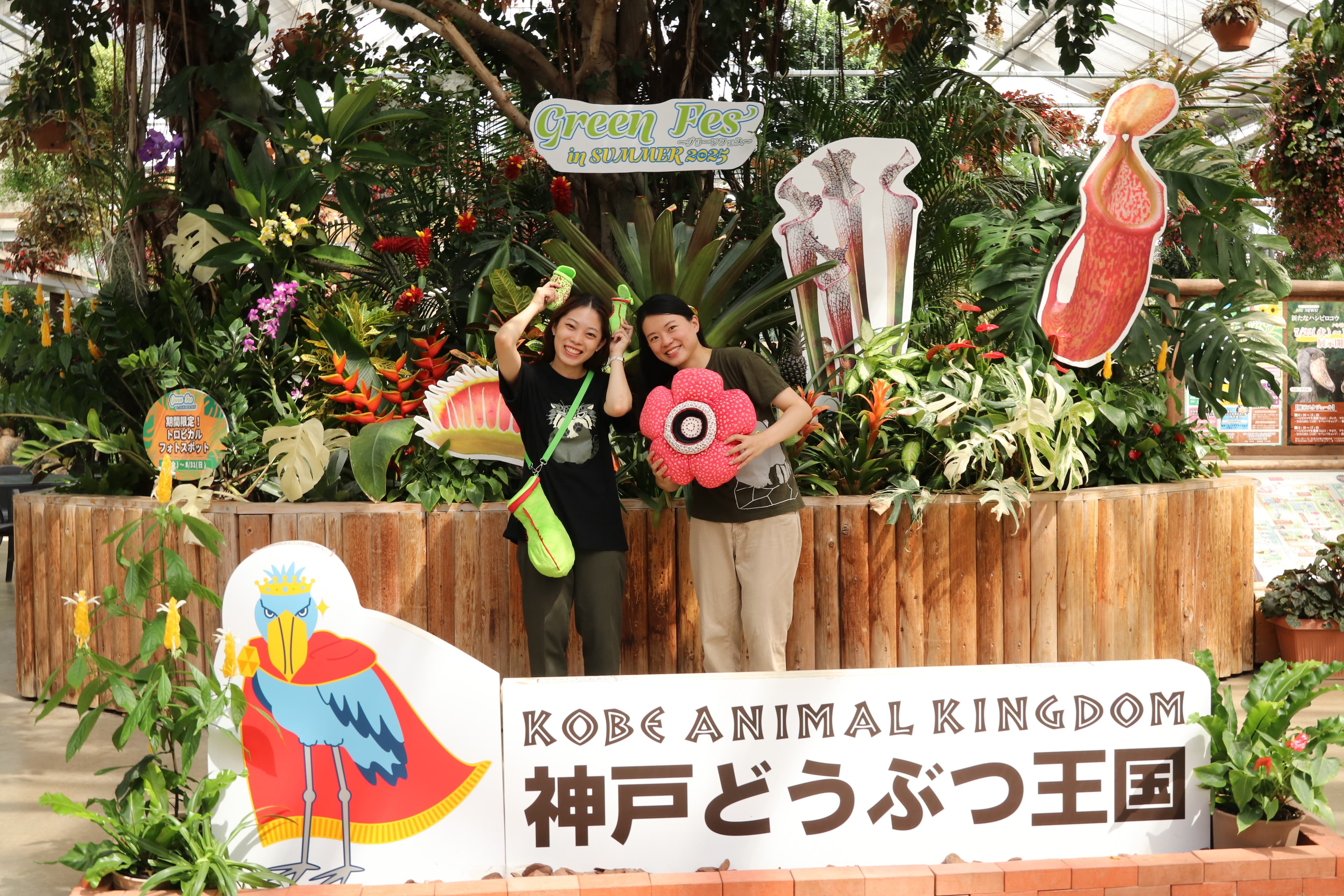 Animal kingdom banner