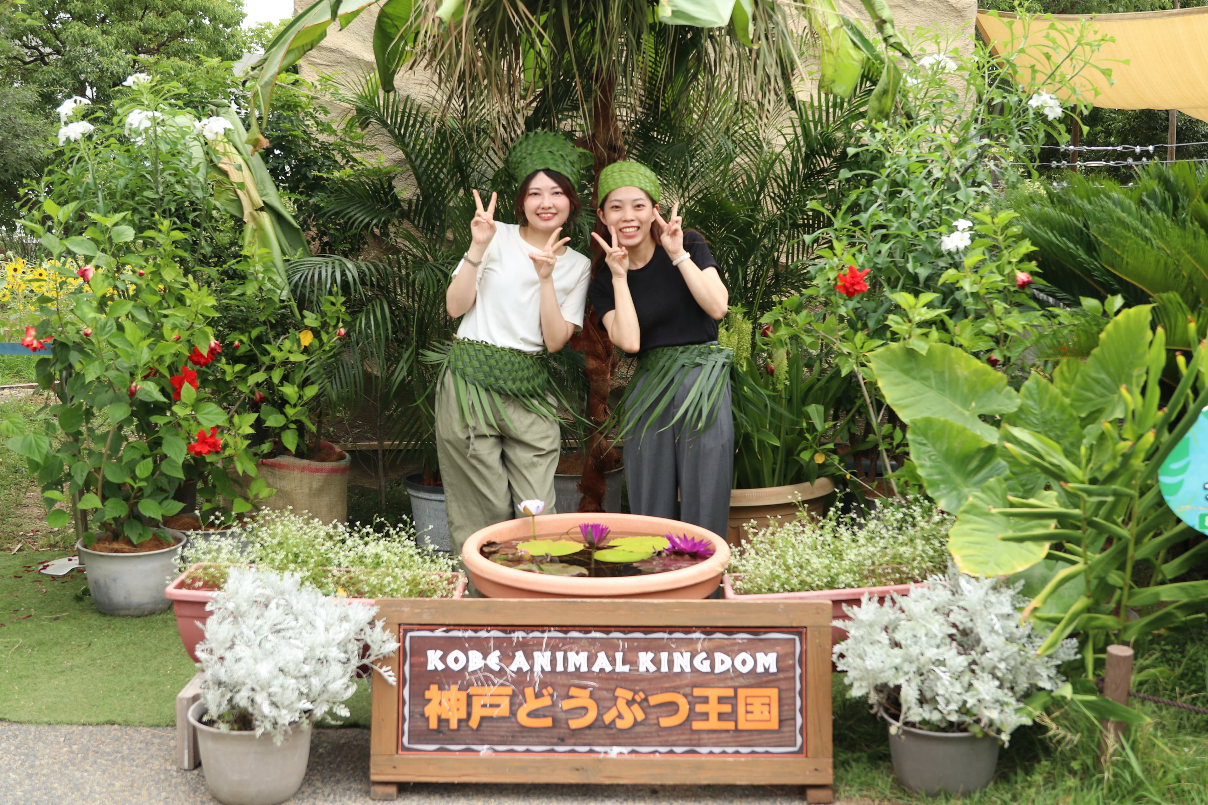 Animal kingdom banner
