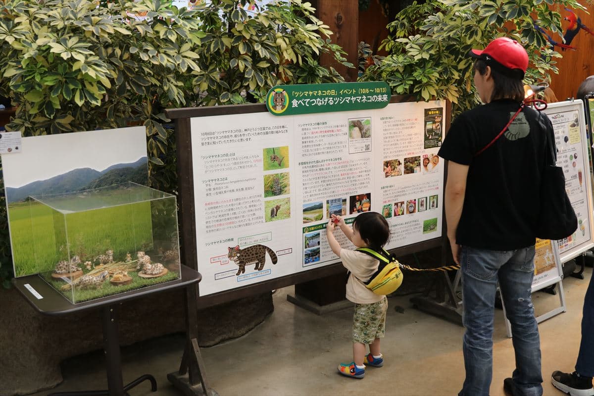Animal kingdom banner