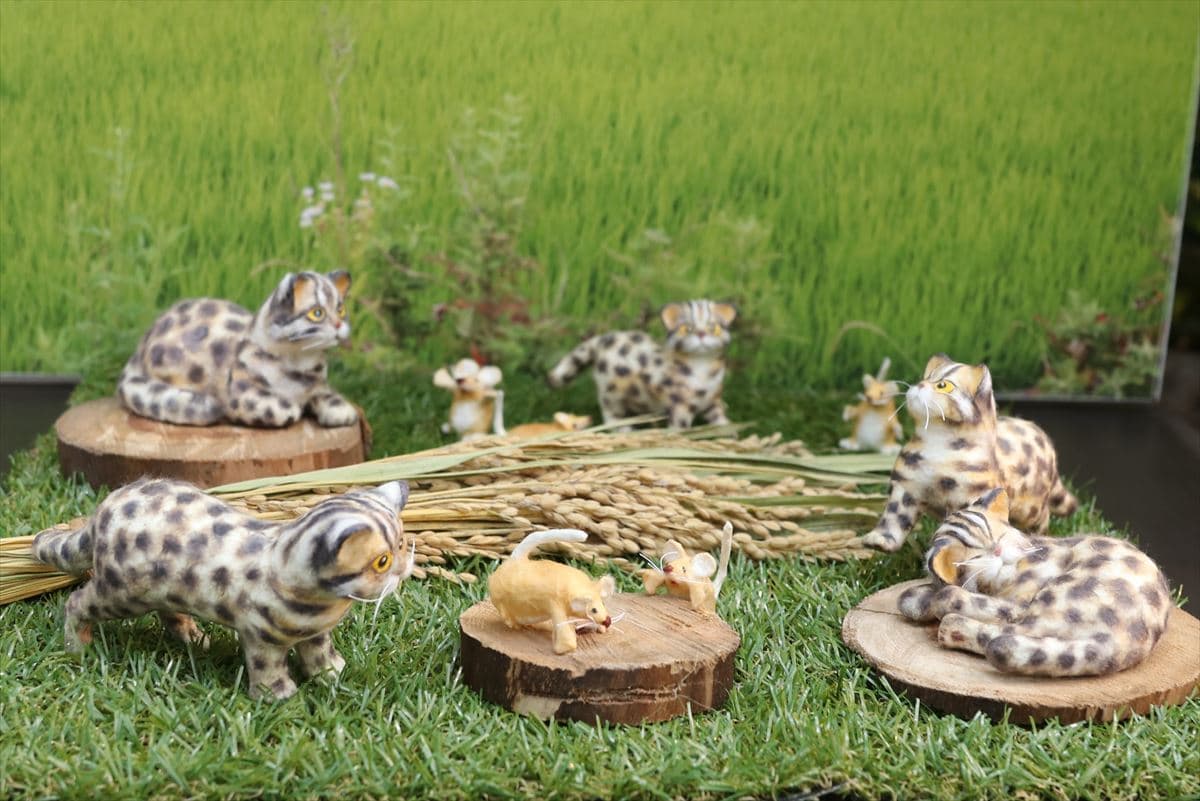 Animal kingdom banner