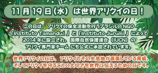 Animal kingdom banner