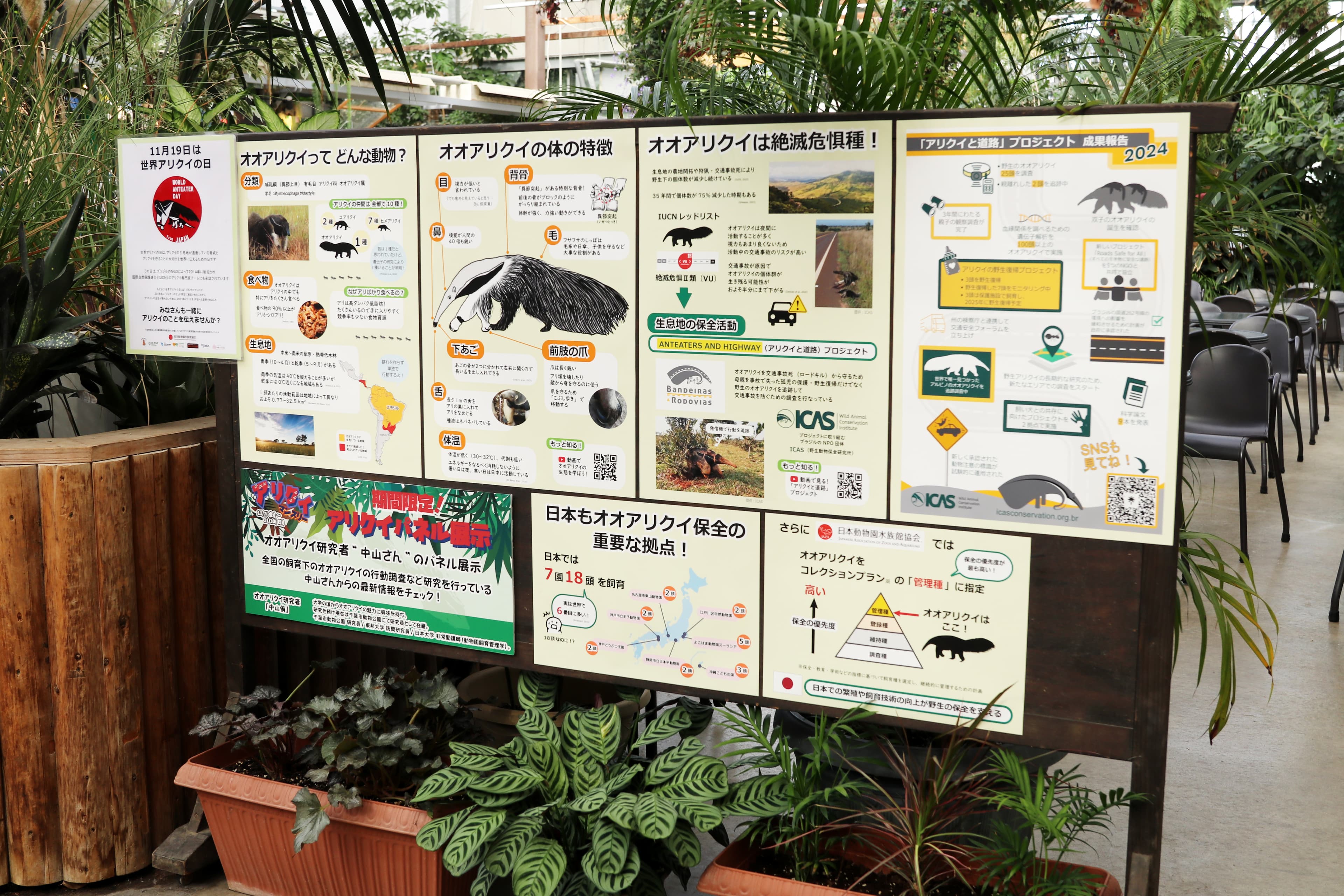 Animal kingdom banner