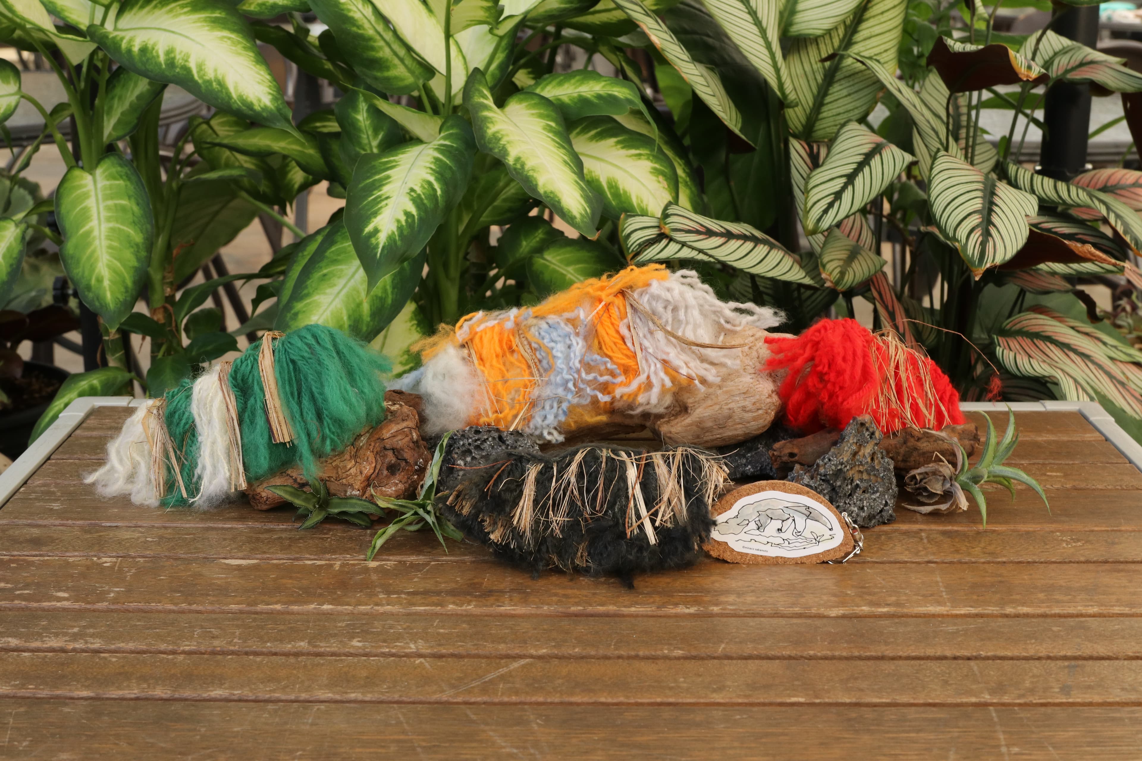 Animal kingdom banner