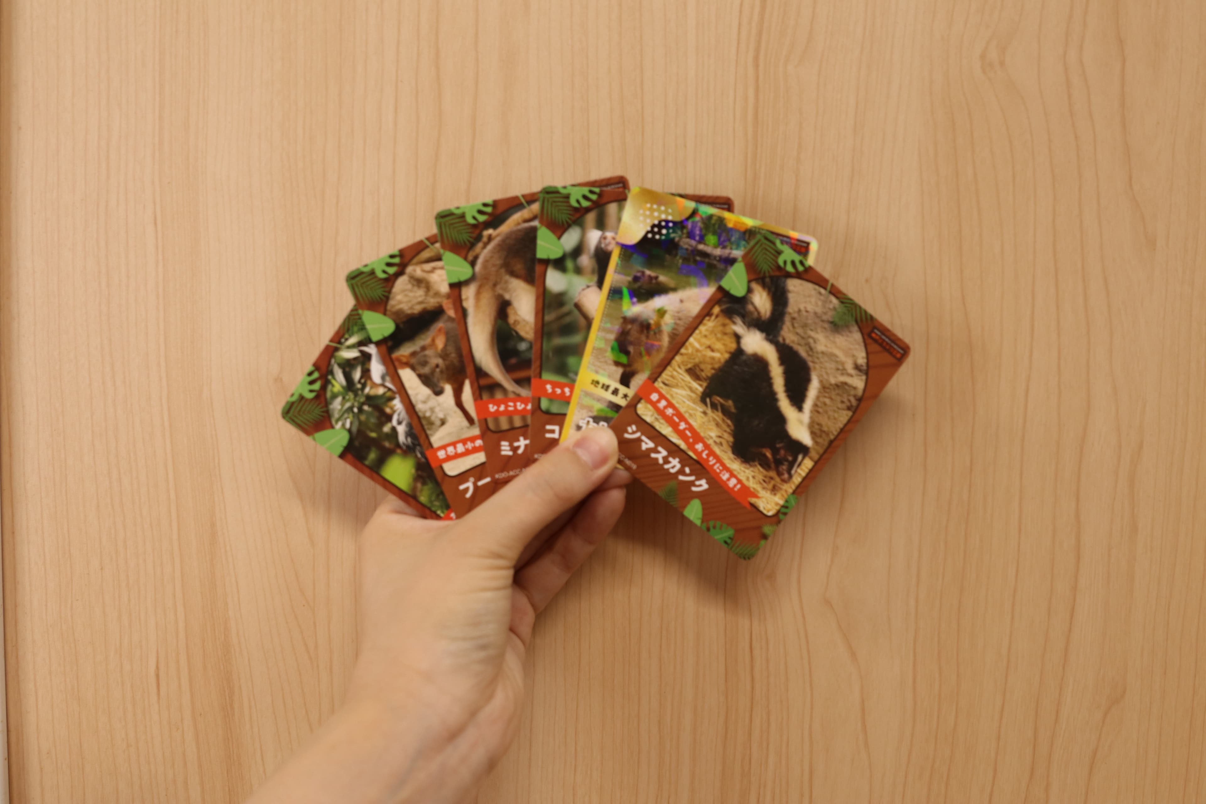 Animal kingdom banner