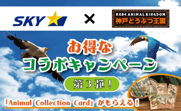 Animal kingdom banner