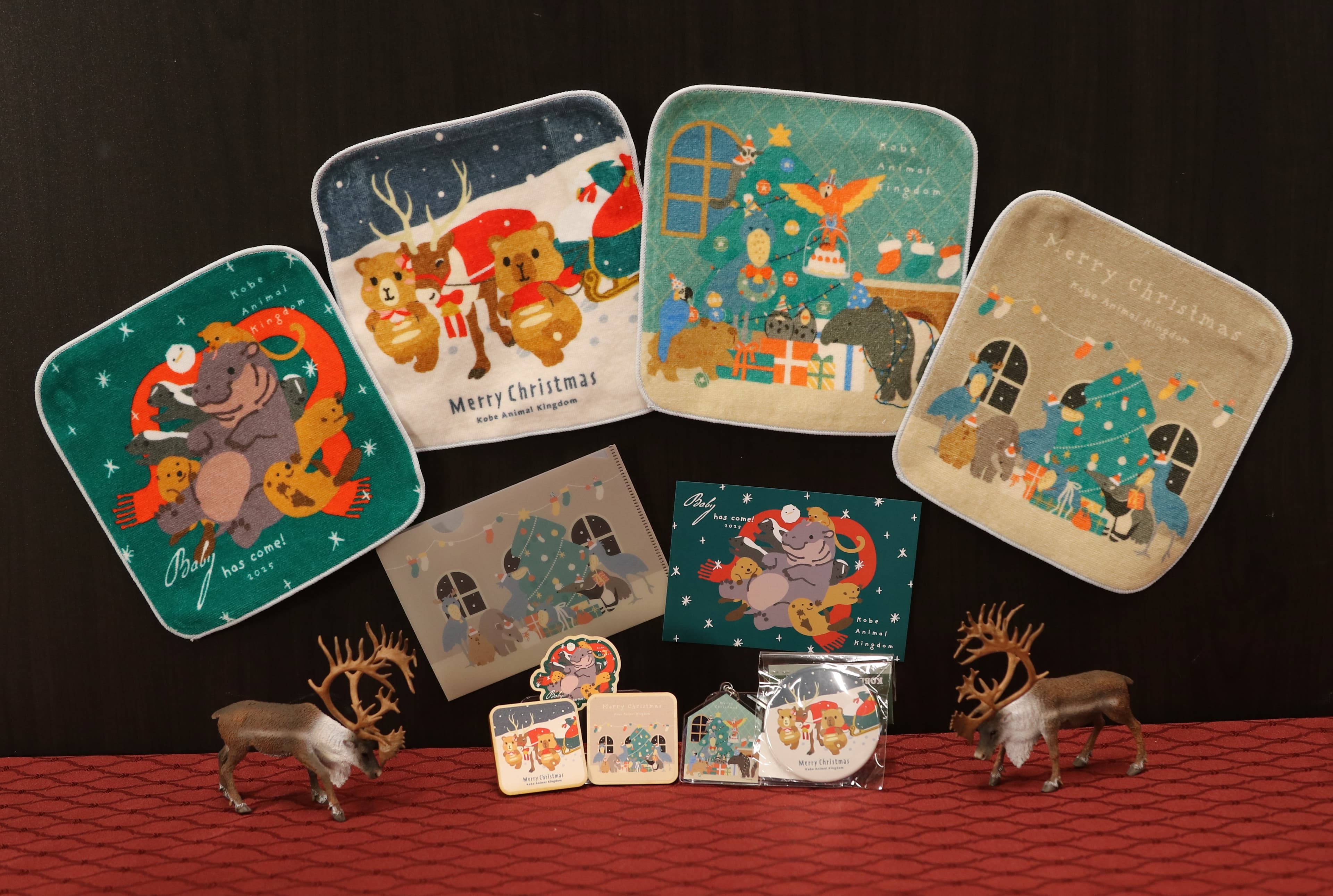 Animal kingdom banner