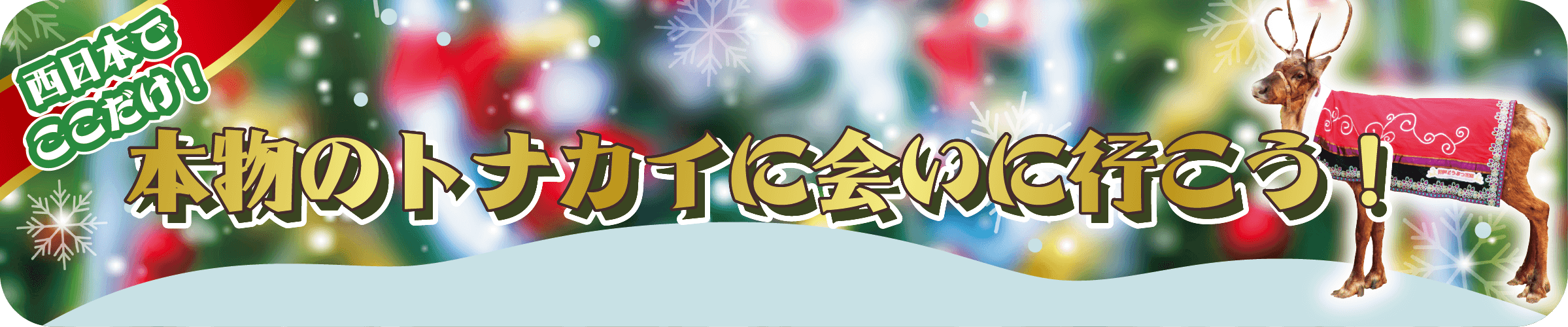 Animal kingdom banner