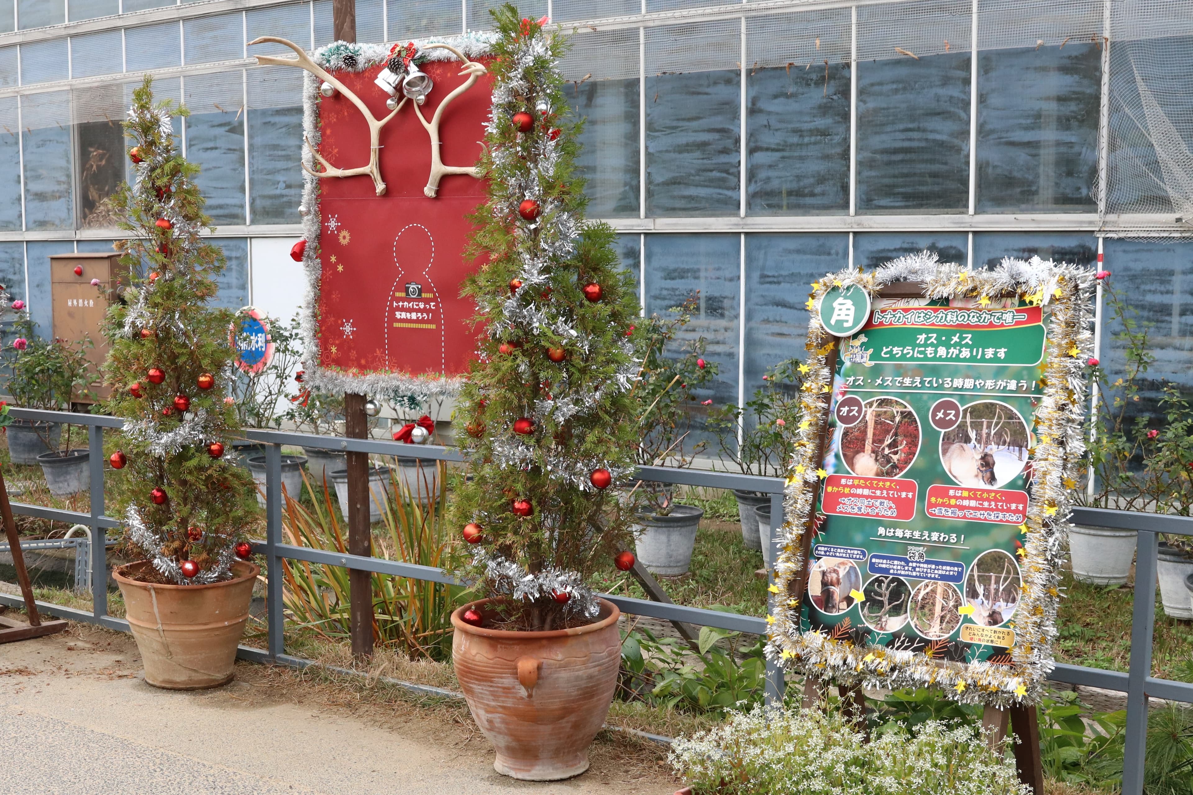 Animal kingdom banner