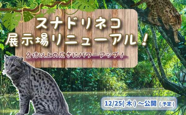 Animal kingdom banner