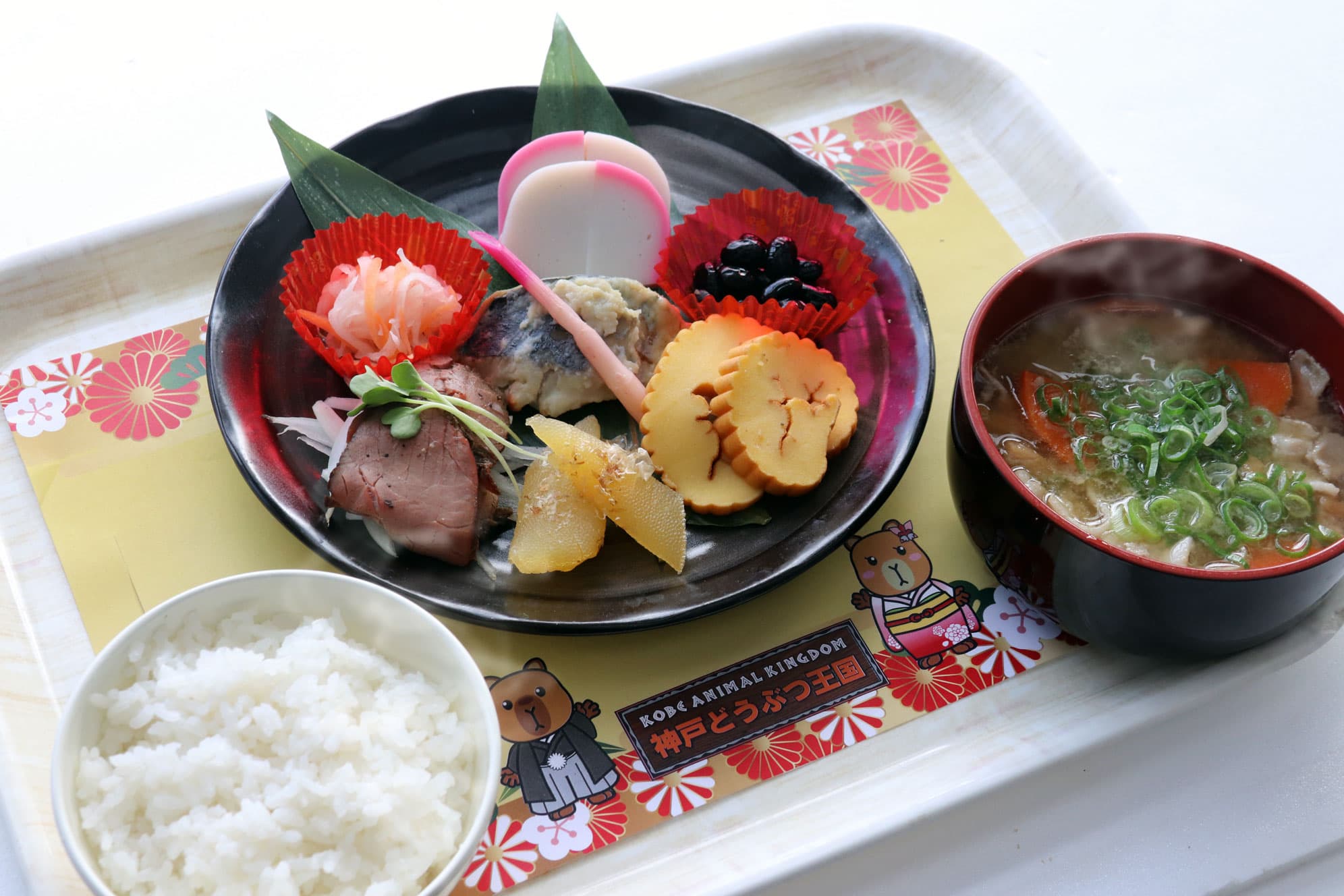 Animal kingdom banner